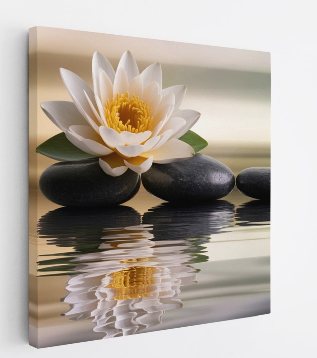 Saammp Canvas Schilderij - Lotusbloem op steen - Landschap - Natuur - 60x60 - Foto op canvas - Wanddecoratie - Muurdecoratie Woonkamer - Slaapkamer decoratie - Canvas Print Multicolor