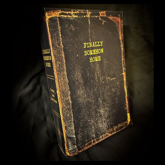 Finally Somehow Home - cover