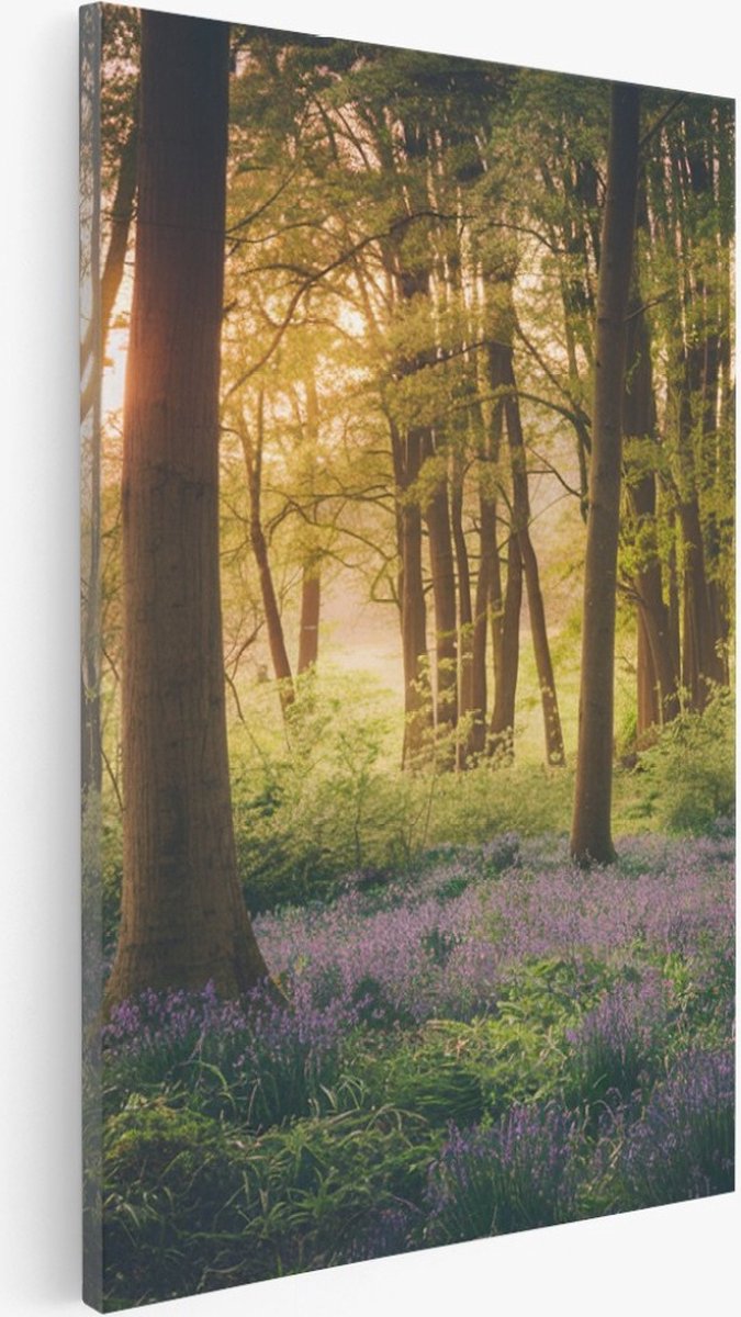 Saammp Canvas Schilderij - Bos met lavendel - Landschap - Natuur - 40x60 - Foto op canvas - Wanddecoratie - Muurdecoratie Woonkamer - Slaapkamer decoratie - Canvas Print Multicolor