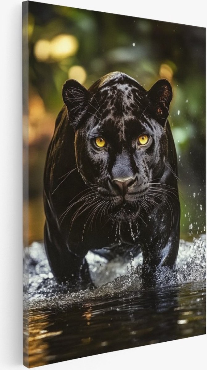 Saammp Canvas Schilderij - Zwarte Panter in het water - Dieren - Natuur - 60x90 - Foto op canvas - Wanddecoratie - Muurdecoratie Woonkamer - Slaapkamer decoratie - Canvas Print Multicolor