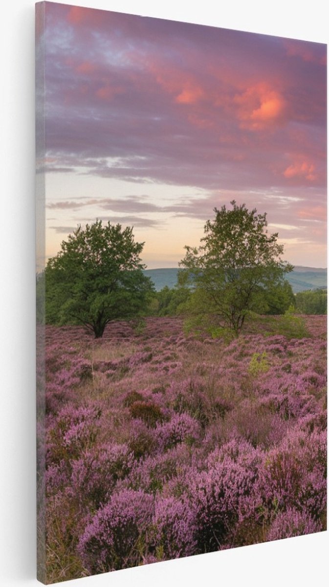 Saammp Canvas Schilderij - Groot lavendelveld - Landschap - Natuur - 30x40 - Foto op canvas - Wanddecoratie - Muurdecoratie Woonkamer - Slaapkamer decoratie - Canvas Print Multicolor