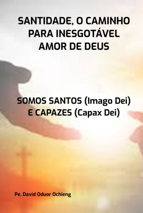 Santidade, O Caminho Para Inesgotável Amor De Deus - cover