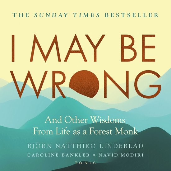 I May Be Wrong - cover