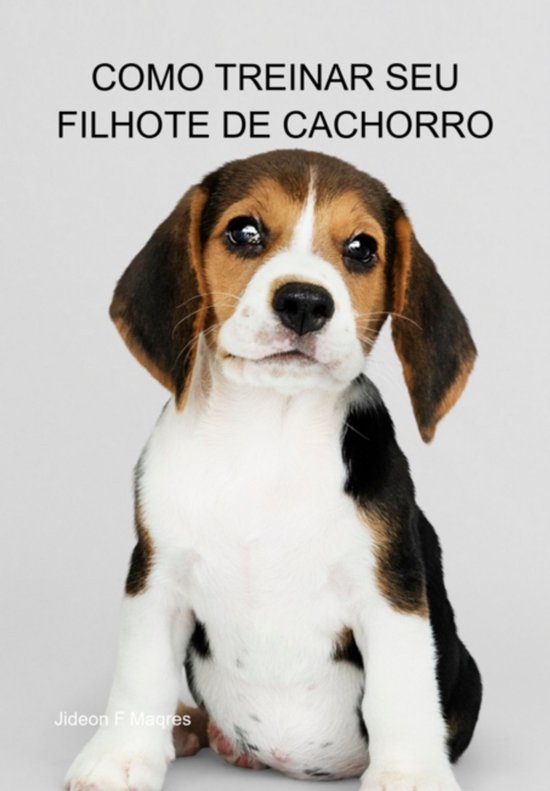 Como Treinar Seu Filhote De Cachorro - cover