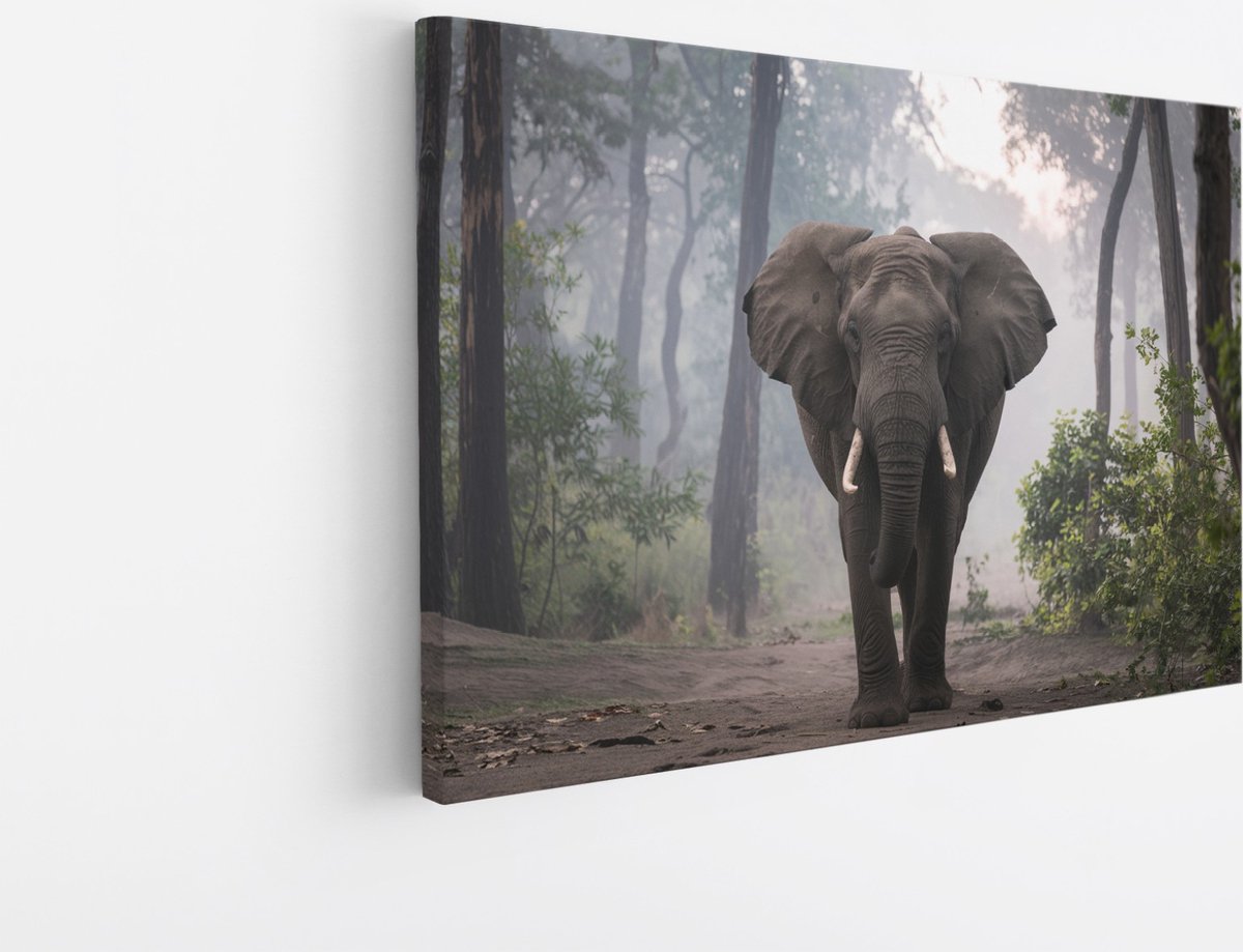 Saammp Canvas Schilderij - Olifant tijdens zonsopgang in het bos - Afrika - Dieren - 70x50 - Foto op canvas - Wanddecoratie - muurdecoratie Woonkamer - Slaapkamer decoratie - Canvas Print Multicolor