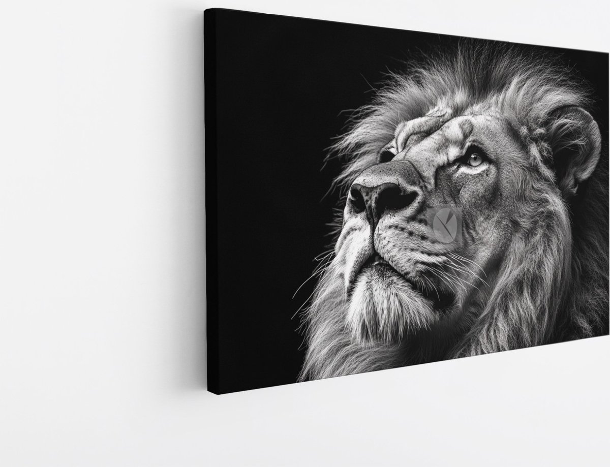 Saammp Canvas Schilderij - Leeuwen portret - Zwart-Wit - Afrika - Dieren - Kunst - 40x30 - Foto op canvas - Wanddecoratie - Muurdecoratie Woonkamer - Slaapkamer decoratie - Canvas Print Multicolor