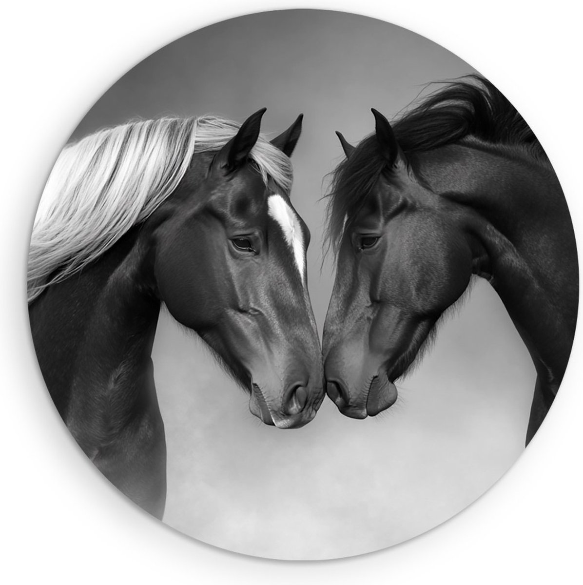 Saammp Muurcirkel Hout - 2 Verliefde Paarden - Kunst - Dieren - Natuur - Ø 80 - Wandcirkel - Wanddecoratie Cirkel - muurdecoratie Woonkamer - Slaapkamer decoratie - Rond Schilderij