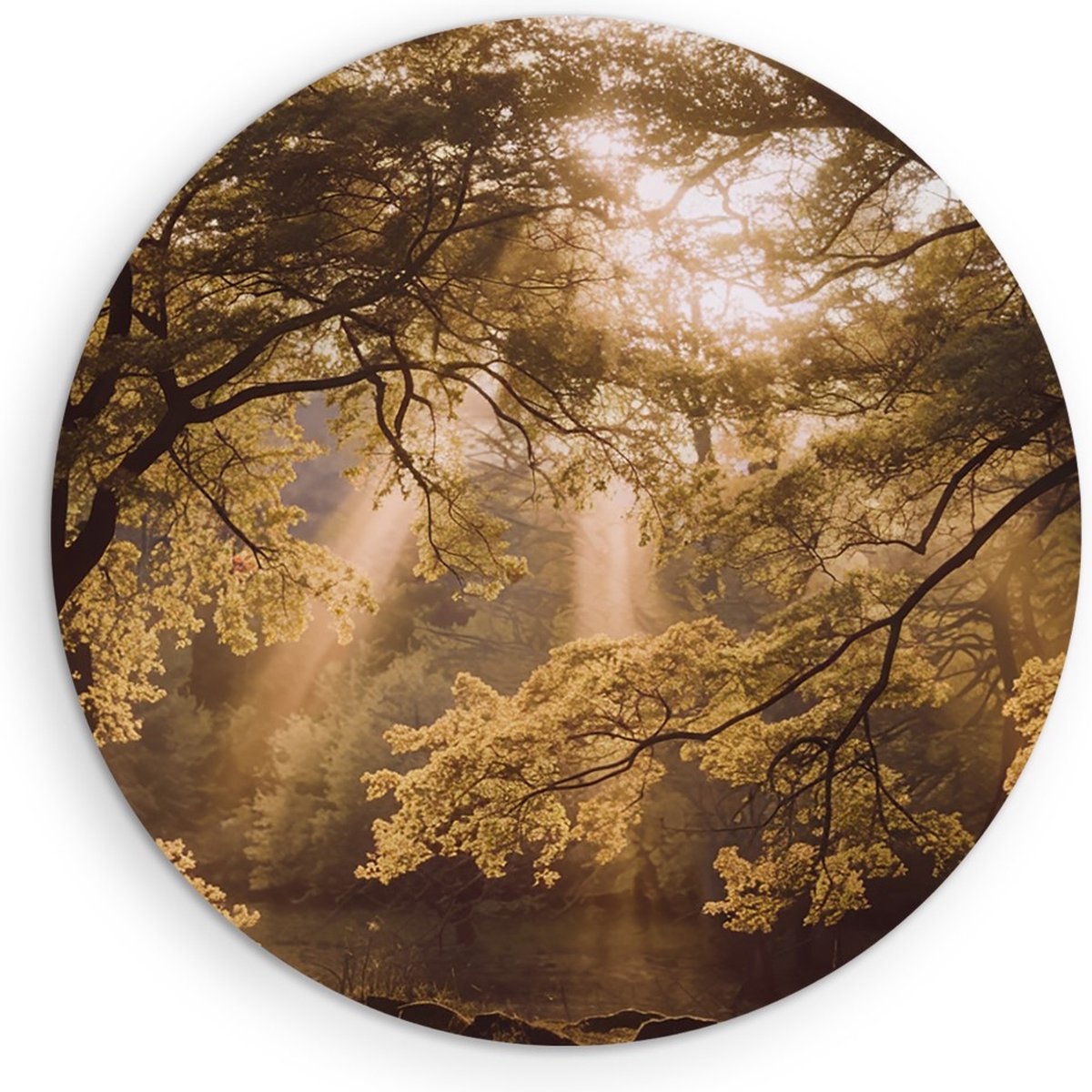 Saammp Muurcirkel Hout - Lichtval - Bomen - Landschap - Natuur - Ø 80 - Wandcirkel - Wanddecoratie Cirkel - Muurdecoratie Woonkamer - Slaapkamer decoratie - Rond Schilderij