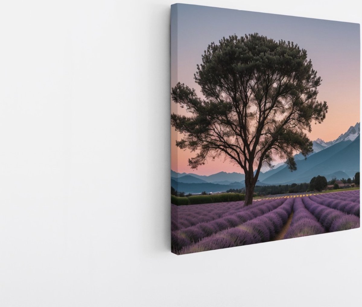 Saammp Canvas Schilderij - Landschap - Grote boom tussen de lavendel - Natuur - 30x30 - Foto op canvas - Wanddecoratie - Muurdecoratie Woonkamer - Slaapkamer decoratie - Canvas Print Multicolor