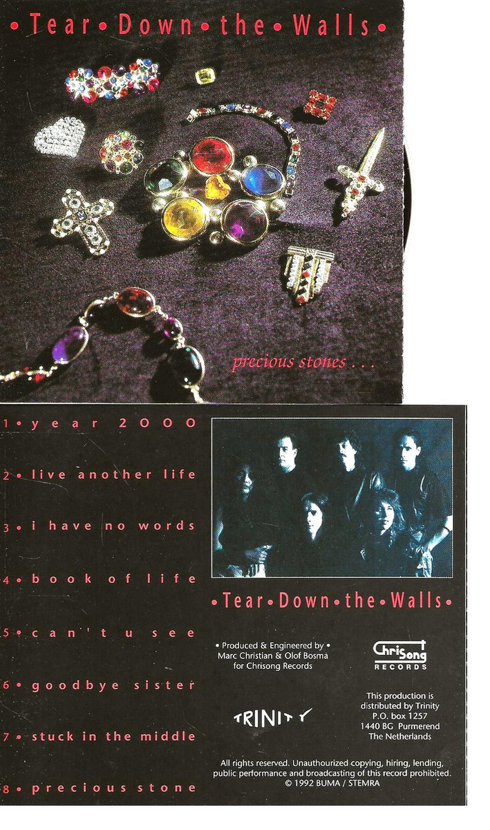 TEAR DOWN THE WALLS - PRECIOUS STONES