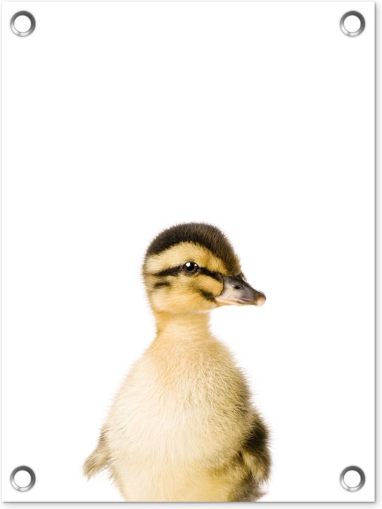 Tuin decoratie Eend - Geel - Dieren - Natuur - 30x40 cm - Tuindoek - Buitenposter