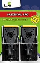 Luxan Muizenval Pro
