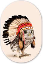 Ovale mural - Ovale mural - Décoration murale plastique - Tableau ovale - Hibou - Indien - Ressorts - Animaux - 80x120 cm - Forme miroir ovale sur plastique