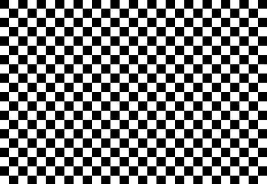 Papier peint Motif carreaux noir et blanc V8 368 cm x 254 cm