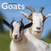 Geiten Kalender 2020