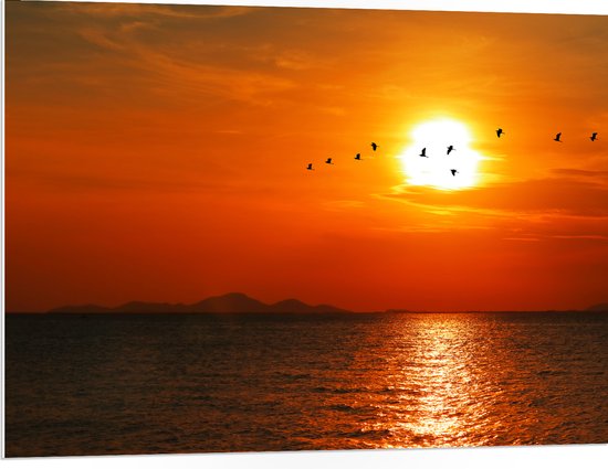 PVC Schuimplaat- Silhouet van Zwerm Vogels bij Zonsondergang boven de Zee - 100x75 cm Foto op PVC Schuimplaat