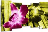 GroepArt - Canvas Schilderij - Bloem - Roze, Groen, Wit - 150x80cm 5Luik- Groot Collectie Schilderijen Op Canvas En Wanddecoraties