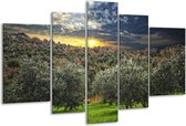 Glasschilderij Natuur - Groen, Geel, Blauw - 170x100cm 5Luik - Foto Op Glas - Geen Acrylglas Schilderij - 6000+ Glasschilderijen Collectie - Wanddecoratie