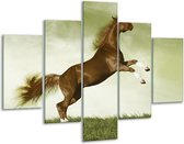 Glasschilderij -  Paard - Bruin, Groen, Zwart - 100x70cm 5Luik - Geen Acrylglas Schilderij - GroepArt 6000+ Glasschilderijen Collectie - Wanddecoratie- Foto Op Glas