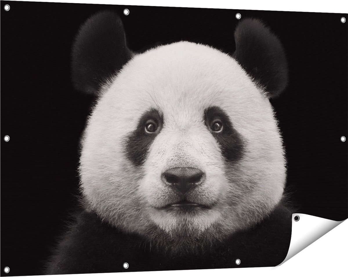 Gards Tuinposter Panda - Pandakop - 120x80 cm - Tuindoek - Tuindecoratie - Wanddecoratie buiten - Tuinschilderij Multikleur