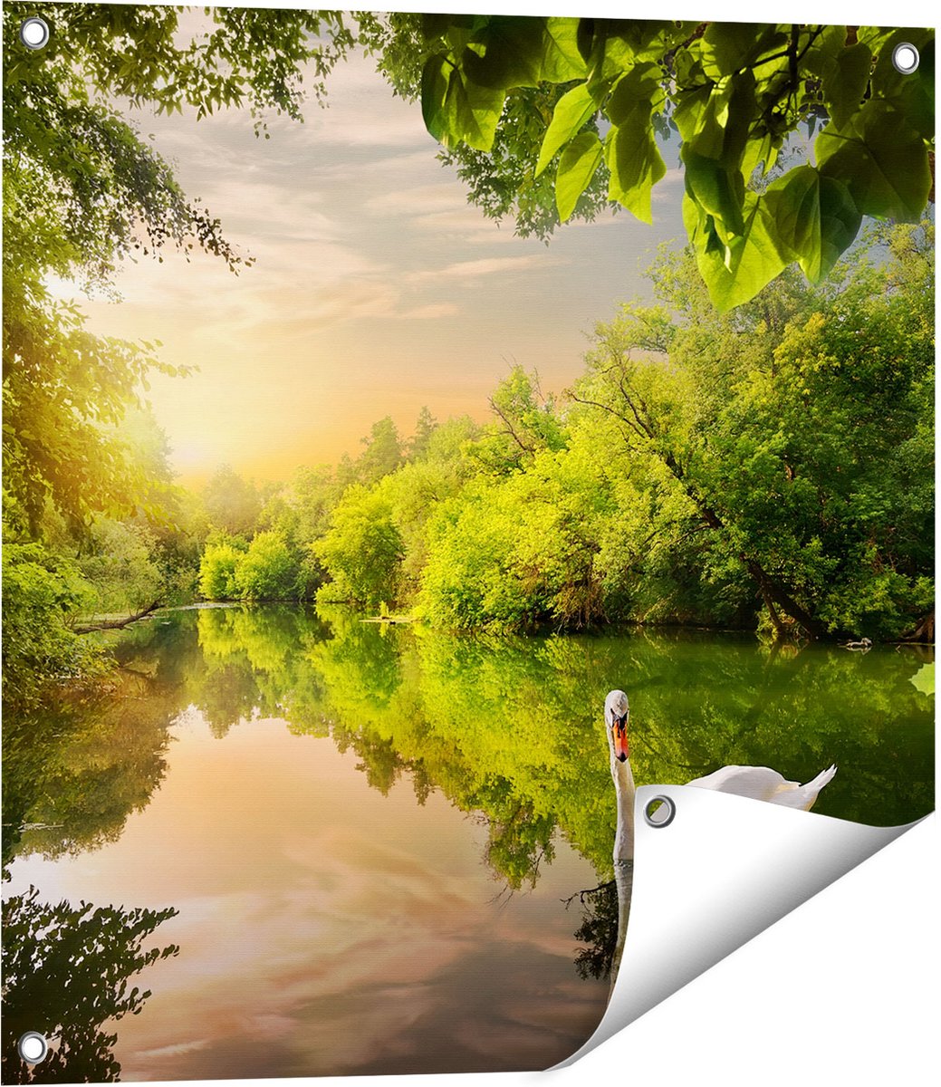 Gards Tuinposter Zwaan op het Water in het Bos - 60x60 cm - Tuindoek - Tuindecoratie - Wanddecoratie buiten - Tuinschilderij Multikleur