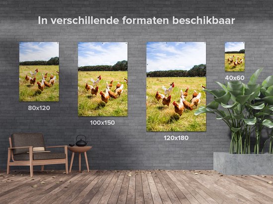 Gars Affiche jardin Poules dans l'herbe - 100x150 cm - Toile jardin - Décoration de jardin - Décoration murale extérieur - Tableau jardin