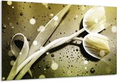 Glasschilderij Tulp - Grijs, Wit - 120x70cm 1Luik - Foto Op Glas - Geen Acrylglas Schilderij - GroepArt 6000+ Glasschilderijen Art Collectie - Wanddecoratie - Woonkamer - Slaapkamer