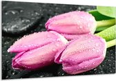Schilderij Op Canvas Tulpen - Roze, Zwart - 120x70cm 1Luik - Foto Op Canvas - GroepArt 6000+ Schilderijen 0p Canvas Art Collectie - Wanddecoratie - Woonkamer - Slaapkamer - Canvas Print