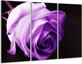 Peinture sur toile Rose | Violet, blanc, noir | 120x80cm 3 Liège