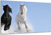 Glasschilderij Paard, Dieren - Blauw, Zwart, Wit - 120x70cm 1Luik - Foto Op Glas - Geen Acrylglas Schilderij - GroepArt 6000+ Glasschilderijen Art Collectie - Wanddecoratie - Woonkamer - Slaapkamer