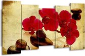 Peinture sur toile Orchidée | Rouge, marron, jaune | 150x80cm 5Liège