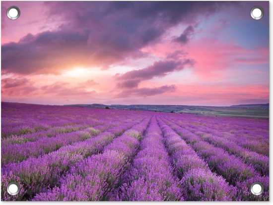 Gards Tuinposter Paarse Boom In Het Paars Veld Met Vogels - 120x80 Cm Tuindoek Tuindecoratie Wanddecoratie Buiten Tuinschilderij