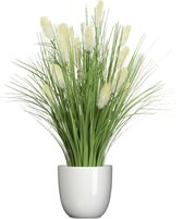 Roseau artificiel/herbe à plumes - en pot blanc - céramique - H70 cm