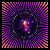 Ralph Lundsten & Neurobash - The Naked Moon And Virgin Sun (CD)