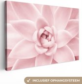 Canvas Schilderij Bloem - Roze - Natuur - Plant - 120x80 cm - Wanddecoratie