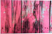 Acrylglas - Roze Geverfde Schutting - 60x40 cm Foto op Acrylglas (Wanddecoratie op Acrylaat)