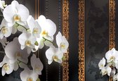 Papier peint Fleurs Motif Floral Orchidées | XL - 208 cm x 146 cm | Polaire 130g / m2