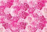 Fotobehang Pink Flowers | XXL - 312cm x 219cm | 130g/m2 Vlies