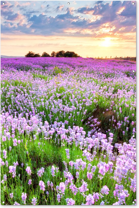 Tuinposter 120x180 cm - Tuindecoratie Bloemen - Lavendel - Paars - Lucht - Zonsondergang - Weide - Natuur - Poster voor in de tuin - Buiten decoratie - Schutting tuinschilderij - Tuindoek muurdecoratie - Wanddecoratie balkondoek