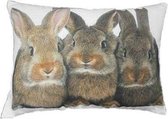 half Sierkussen canvas 3 bruine konijnen
