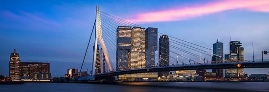 The bridge panorama | Rotterdam skyline