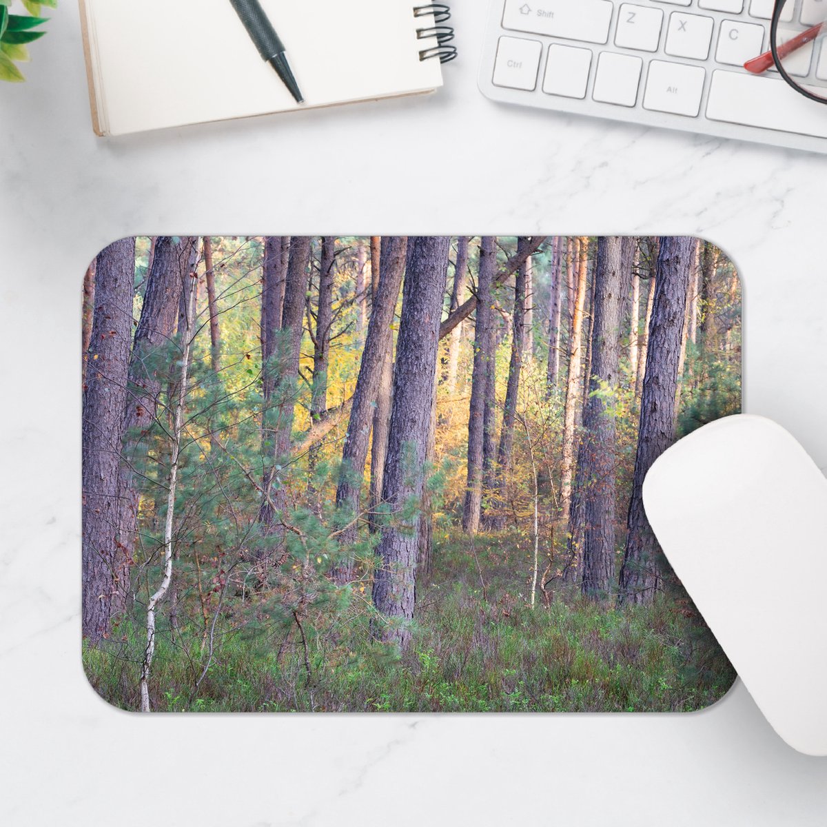 Muismat - Bomen in een Bos in Nederland - 25x18 cm - 2 mm Dik - Muismat van Vinyl