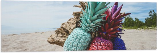 Vlag - Gekleurde Ananassen op Strand - 120x40 cm Foto op Polyester Vlag