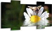 GroepArt - Schilderij - Natuur - Geel, Wit, Grijs - 120x65 5Luik - Foto Op Canvas - GroepArt 6000+ Schilderijen 0p Canvas Art Collectie - Wanddecoratie