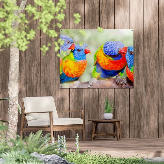 Gards Poster de jardin Quatre Vogels Lori arc-en-ciel sur une branche - 100x80 cm - Toile de jardin - Décoration de jardin - Décoration murale extérieure - Peinture de jardin