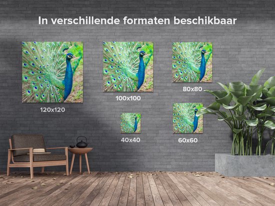 Gards Tuinposter Pauw met Kleurrijke Veren - 50x50 cm - Tuindoek - Tuindecoratie - Wanddecoratie buiten - Tuinschilderij