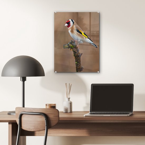 Peinture sur verre - Gros plan d'un chardonneret coloré sur une branche fine - 30x40 cm - Peintures sur Verre Peintures - Photo sur Glas