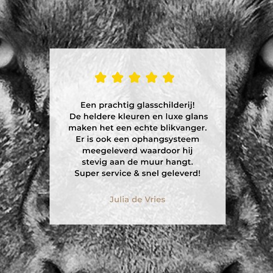 Peinture sur verre - Photo sur verre - Verre acrylique - Animaux sauvages - Lion - Zwart - Wit - 60x120 cm - Peinture sur verre lion - Peinture sur verre - Décoration chambre - Chambre