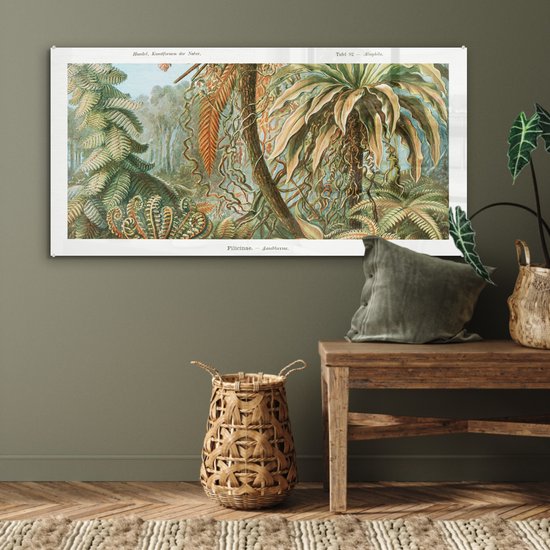 MuchoWow® Peinture sur Verre - Vintage - Maîtres Anciens - Fougères - Plantes - Nature - 120x60 cm - Peintures sur Verre Acrylique - Photo sur Glas