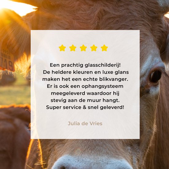 MuchoWow - Glasschilderij - Foto op glas - Koeien - Zonsondergang - Natuur - Dieren - Koe - Schilderij op glas - Acrylglas - Kamer decoratie - 60x80 cm - Wanddecoratie